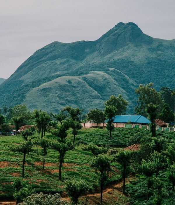 pexels-nandu-vasudevan-167142178-17650851